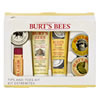 Burts Bees Tips N Toes Kit